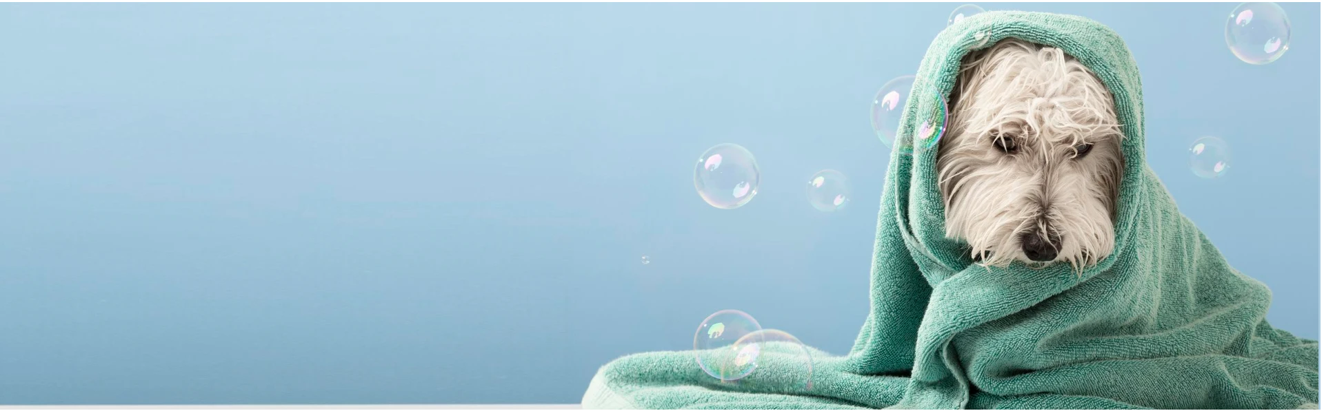 Sanitary Professional Pet Care 1+ Thousand Veterinary Sanitary