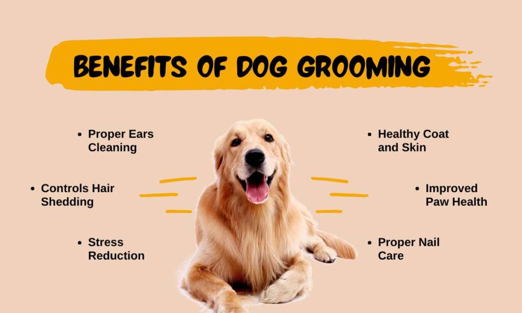 Benefits of dog grooming