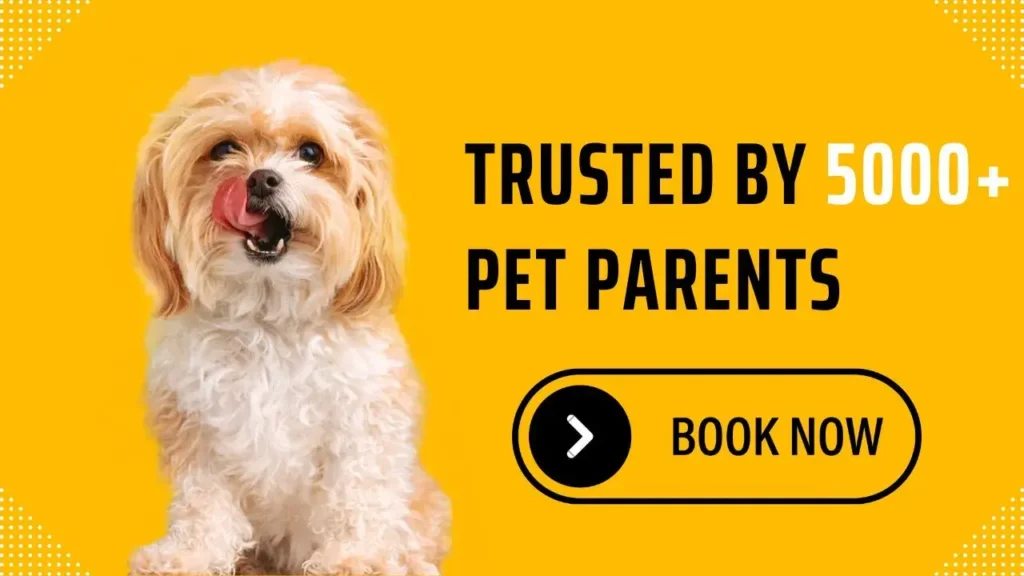 Trusted By 5000 pet parents