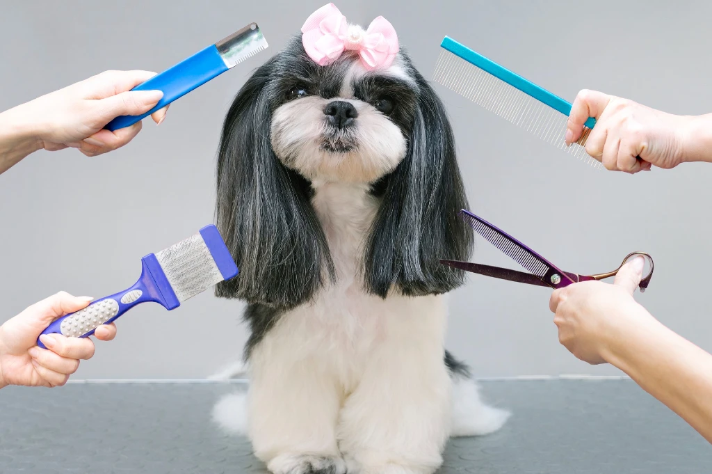 pet grooming brands in india